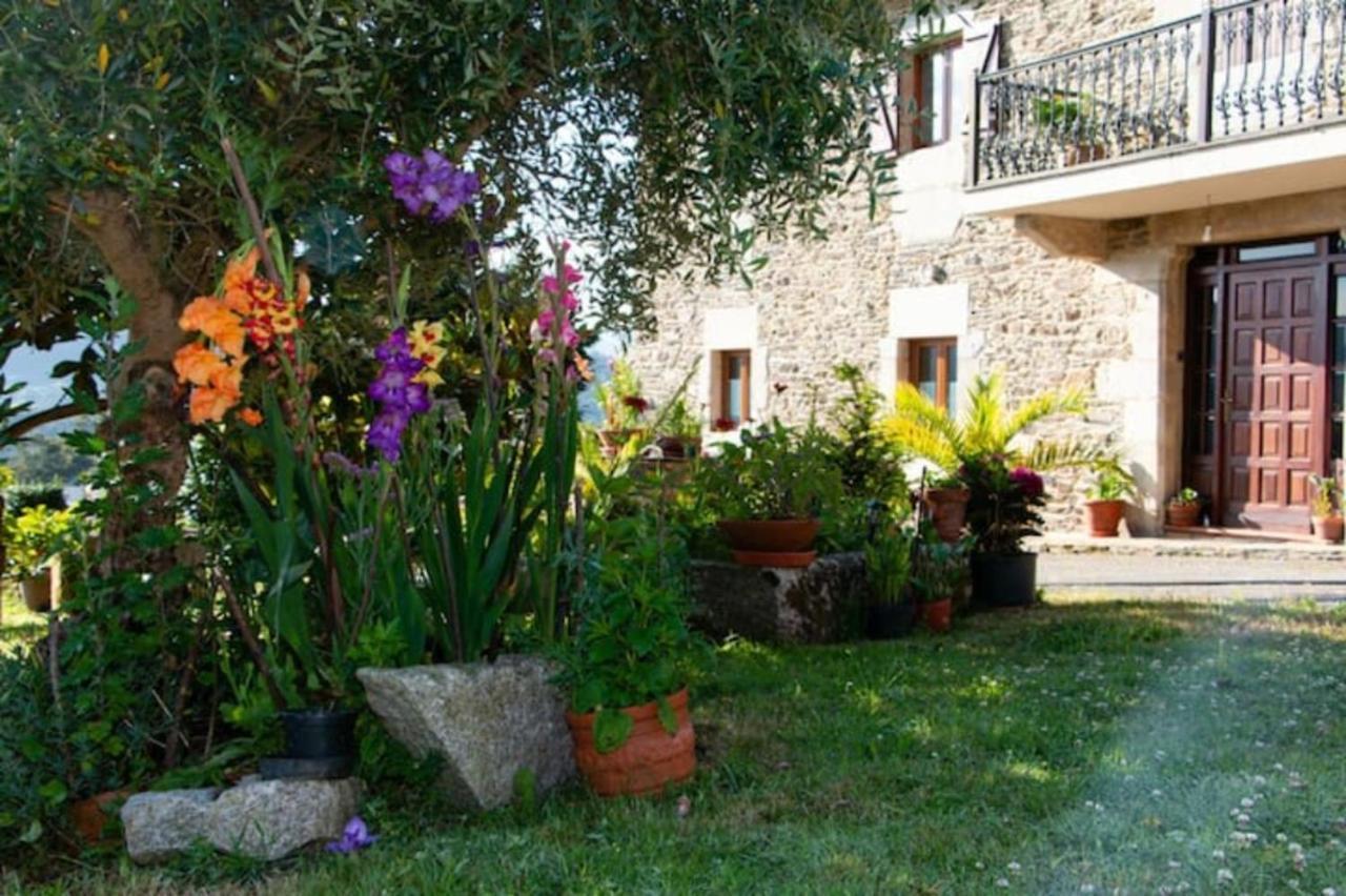 Vieiro Verde المظهر الخارجي الصورة